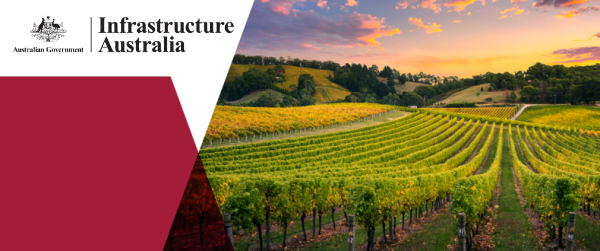 Graphic showing vineyards in Adelaide Hills, South Australia